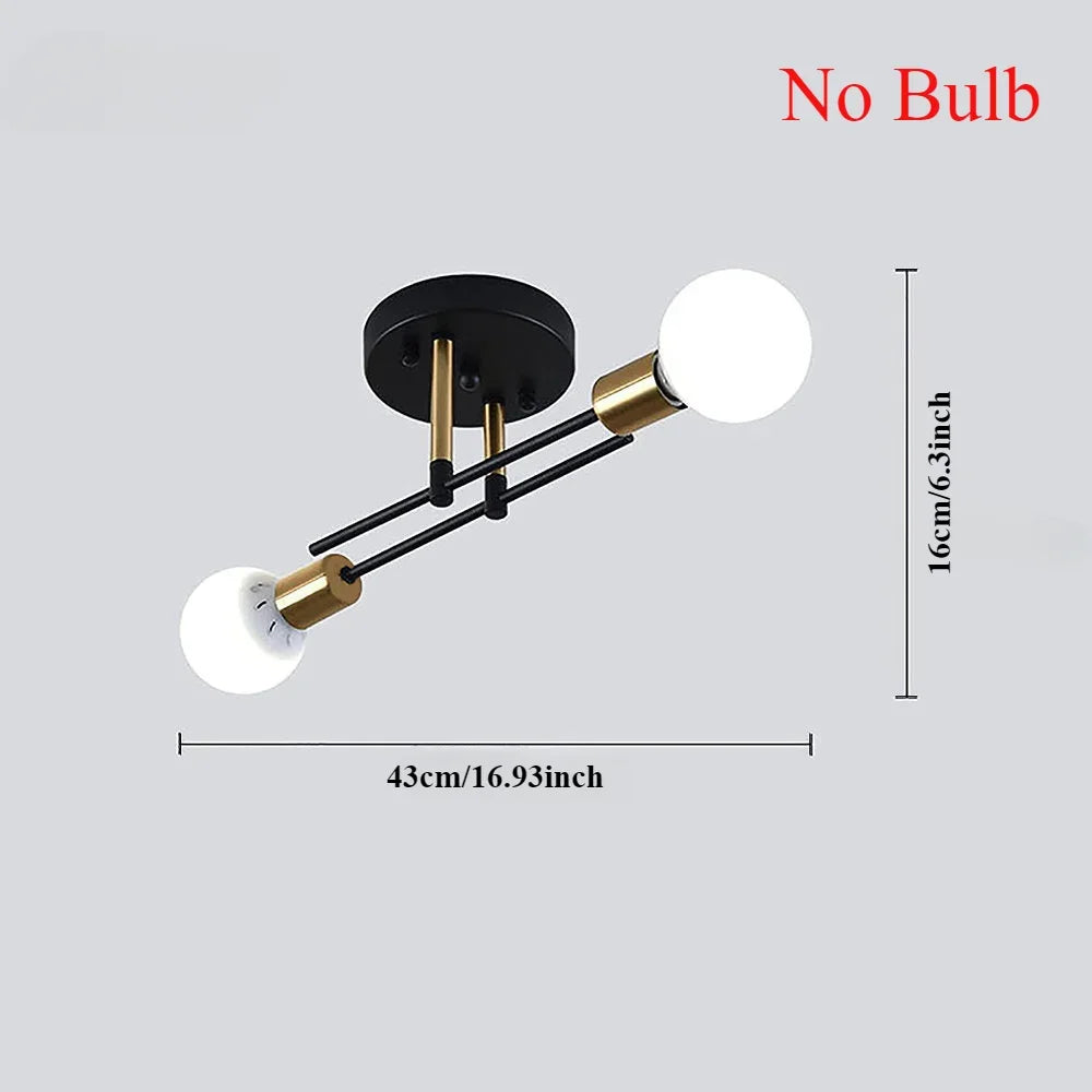 Vintage 2-Light Iron Ceiling Light – Black E27 Surface Mount
