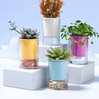 Imitation Glass Plastic Succulent Planter Pot