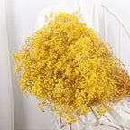 Flower Dried Pampas Grass Bouquet Indoor Home & Event Decor