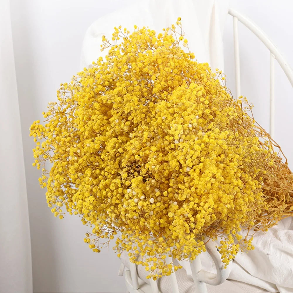 Flower Dried Pampas Grass Bouquet Indoor Home & Event Decor