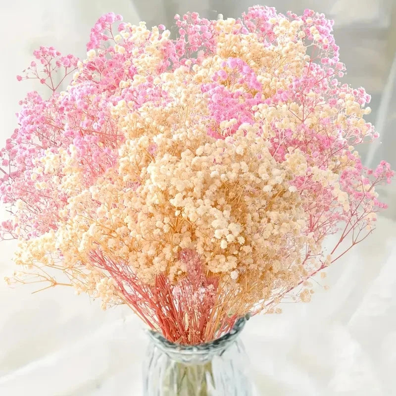 Flower Dried Pampas Grass Bouquet Indoor Home & Event Decor