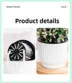 Self-Watering Resin Succulent Planter Pot