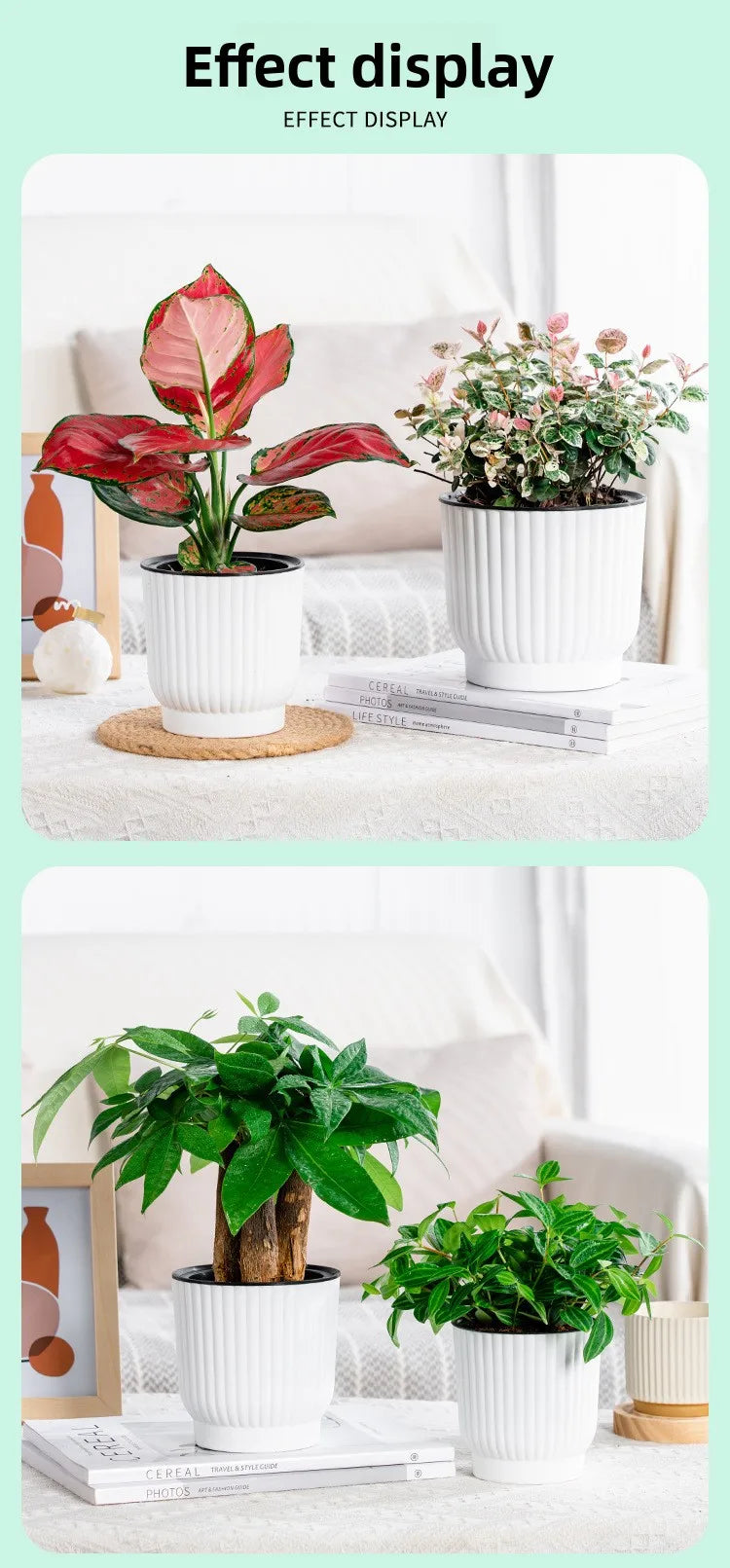 Self-Watering Resin Succulent Planter Pot