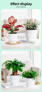 Self-Watering Resin Succulent Planter Pot