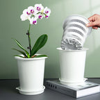 Double Layer Mesh Orchid Pot with Drainage Holes