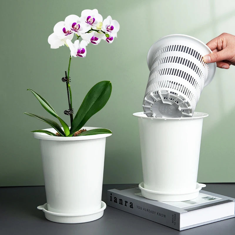 Double Layer Mesh Orchid Pot with Drainage Holes
