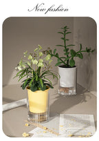 Imitation Glass Plastic Succulent Planter Pot