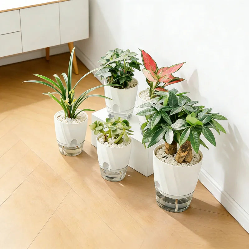 Transparent Self-Watering Hydroponic Plant Pot