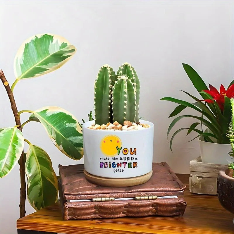 Inspirational Ceramic Succulent Pot with Drainage