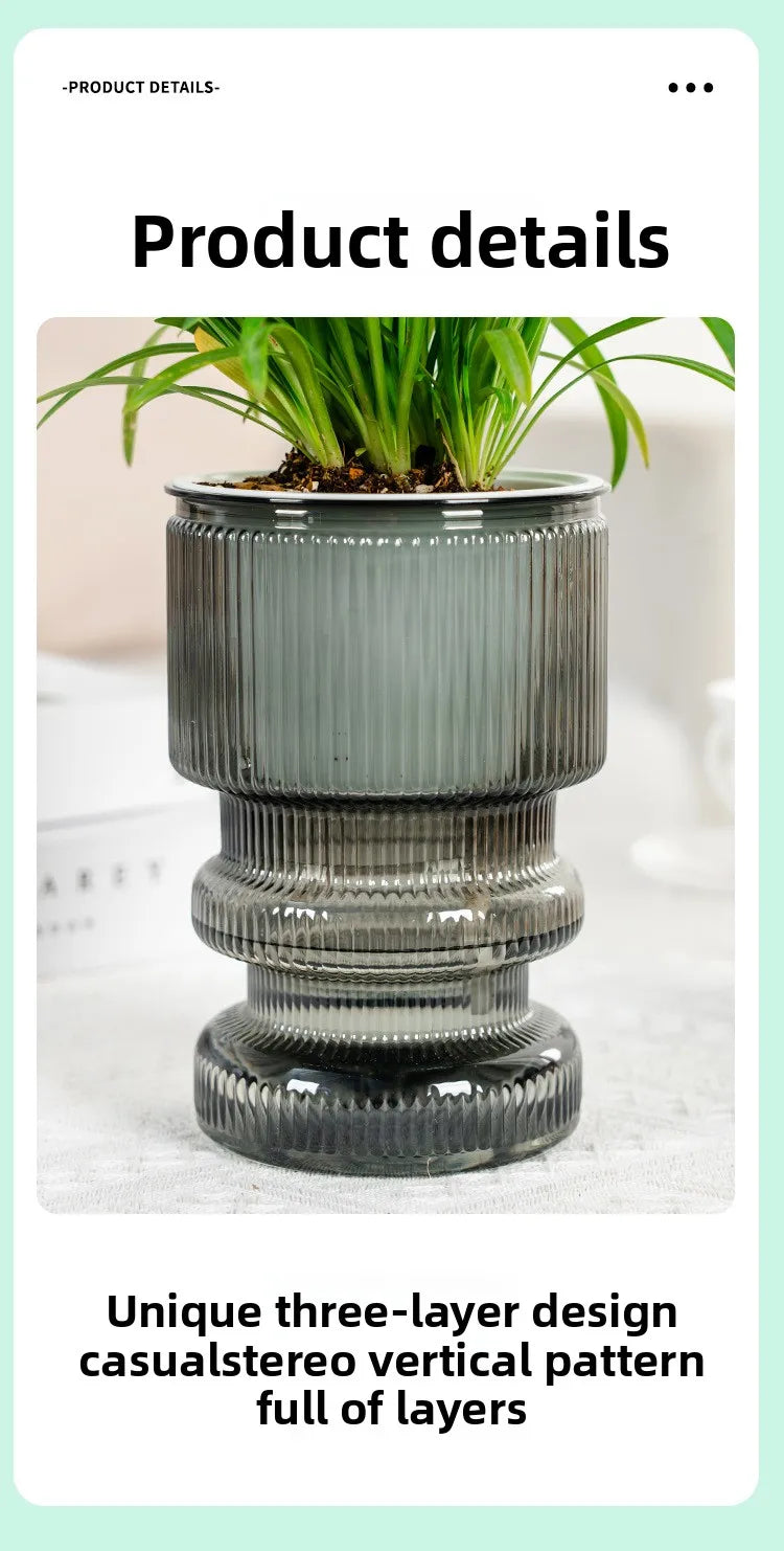 Self-Watering Transparent Plastic Succulent Pot
