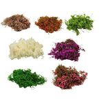 Simulated Micro-Landscape Mini Tree – Silk & Sponge