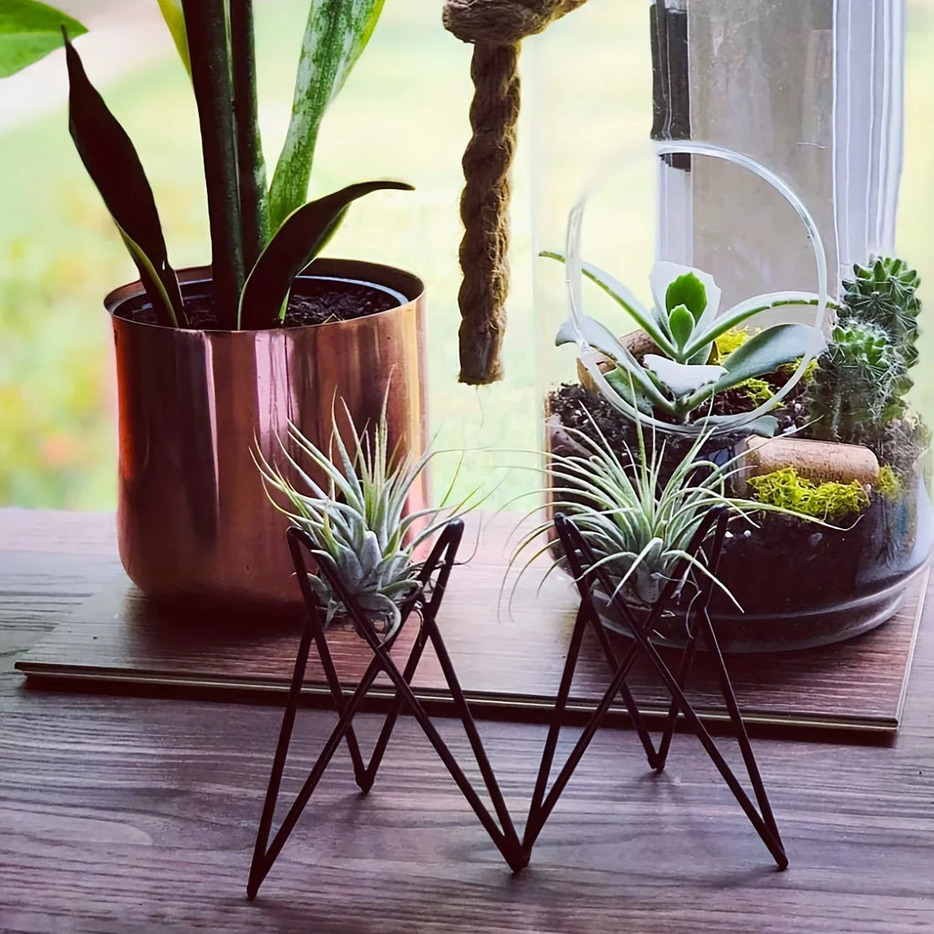 European Style Metal Desktop Flower Rack