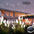 Solar Fiber Reed Light 5m IP65 Waterproof Outdoor Garden Decor