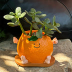 Cute Cartoon Orange Smiling Face Flower Pot