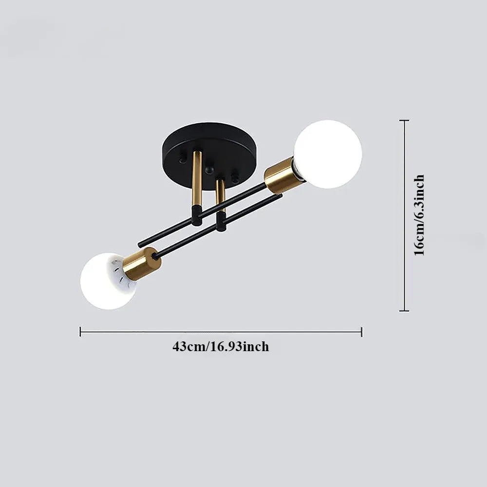 Vintage 2-Light Iron Ceiling Light – Black E27 Surface Mount