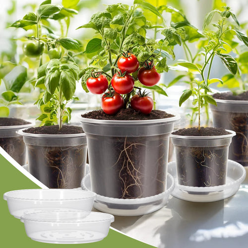 5PCS Transparent Hydroponic Plant Pots with Saucers