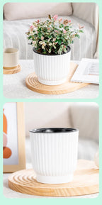 Self-Watering Resin Succulent Planter Pot