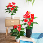 53cm Artificial Monstera Tree for Home & Garden