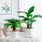 Self-Watering Nordic Style Square Flower Pot