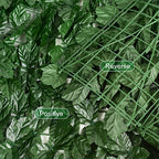 Amuixui Artificial Leaf Fence Panel Outdoor Privacy & Decorative Decor