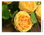 45cm Artificial Silk Rose Flower Indoor Home Decor for Events