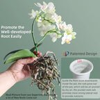 Double Layer Mesh Orchid Pot with Drainage Holes