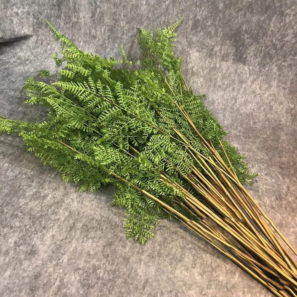 Artificial Fern Plant Branch Outdoor Exhibition Decoration