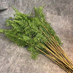 Artificial Fern Plant Branch Outdoor Exhibition Decoration