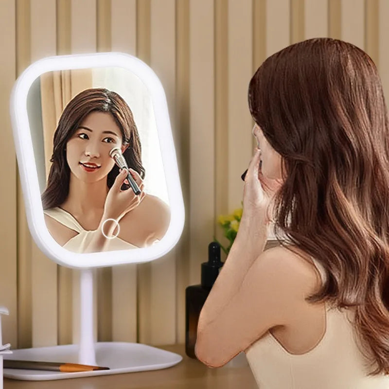 Niche Modern LED Makeup Mirror with Touch Control and Three Light Colors