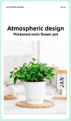 Self-Watering Resin Succulent Planter Pot