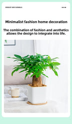 Self-Watering Nordic Style Square Flower Pot