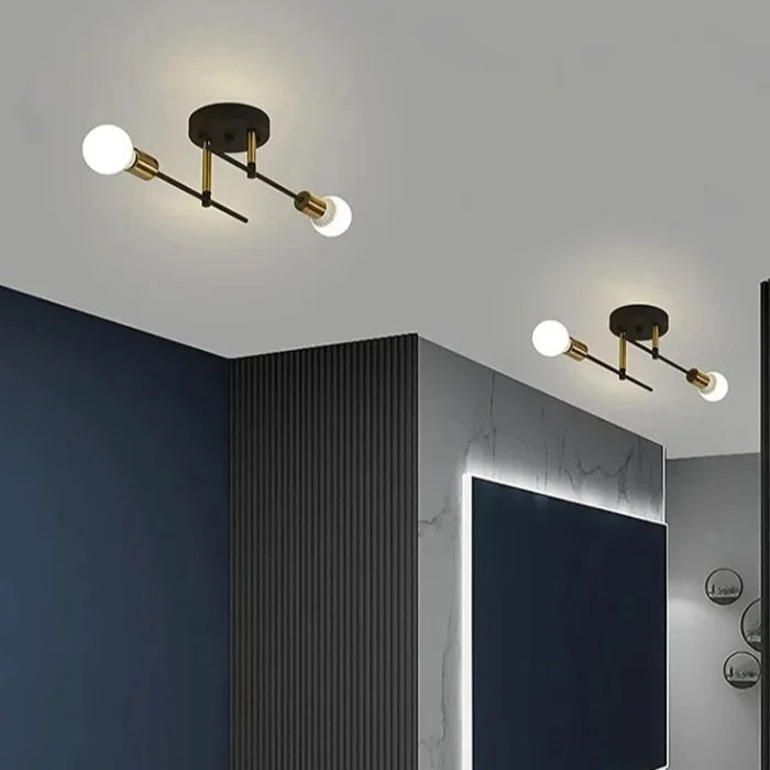 Vintage 2-Light Iron Ceiling Light – Black E27 Surface Mount