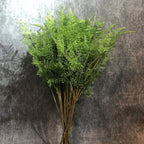 Artificial Fern Plant Branch Outdoor Exhibition Decoration