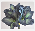 76CM Artificial Hippeastrum Silk Flower for Wedding & Home Decor