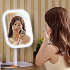 Niche Modern LED Makeup Mirror with Touch Control and Three Light Colors