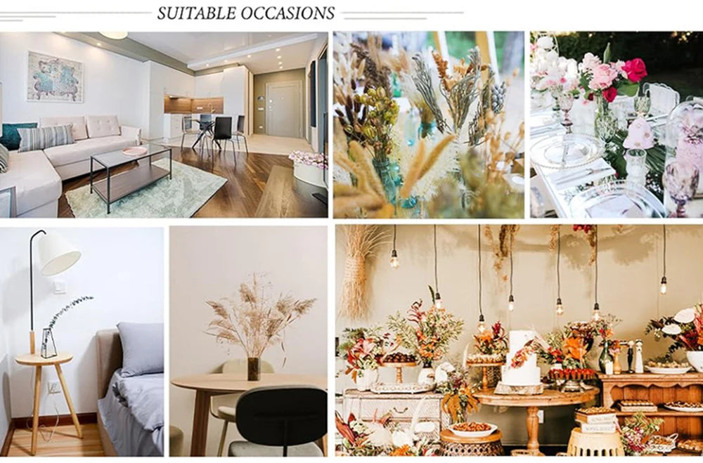 Flower Dried Pampas Grass Bouquet Indoor Home & Event Decor