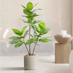 77–135cm Artificial Fiddle Leaf Ficus Fig Tree