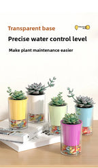 Imitation Glass Plastic Succulent Planter Pot