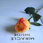 Artificial Silk Rose Flower Indoor Bridal Shower & Event Decoration
