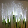Solar Fiber Reed Light 5m IP65 Waterproof Outdoor Garden Decor