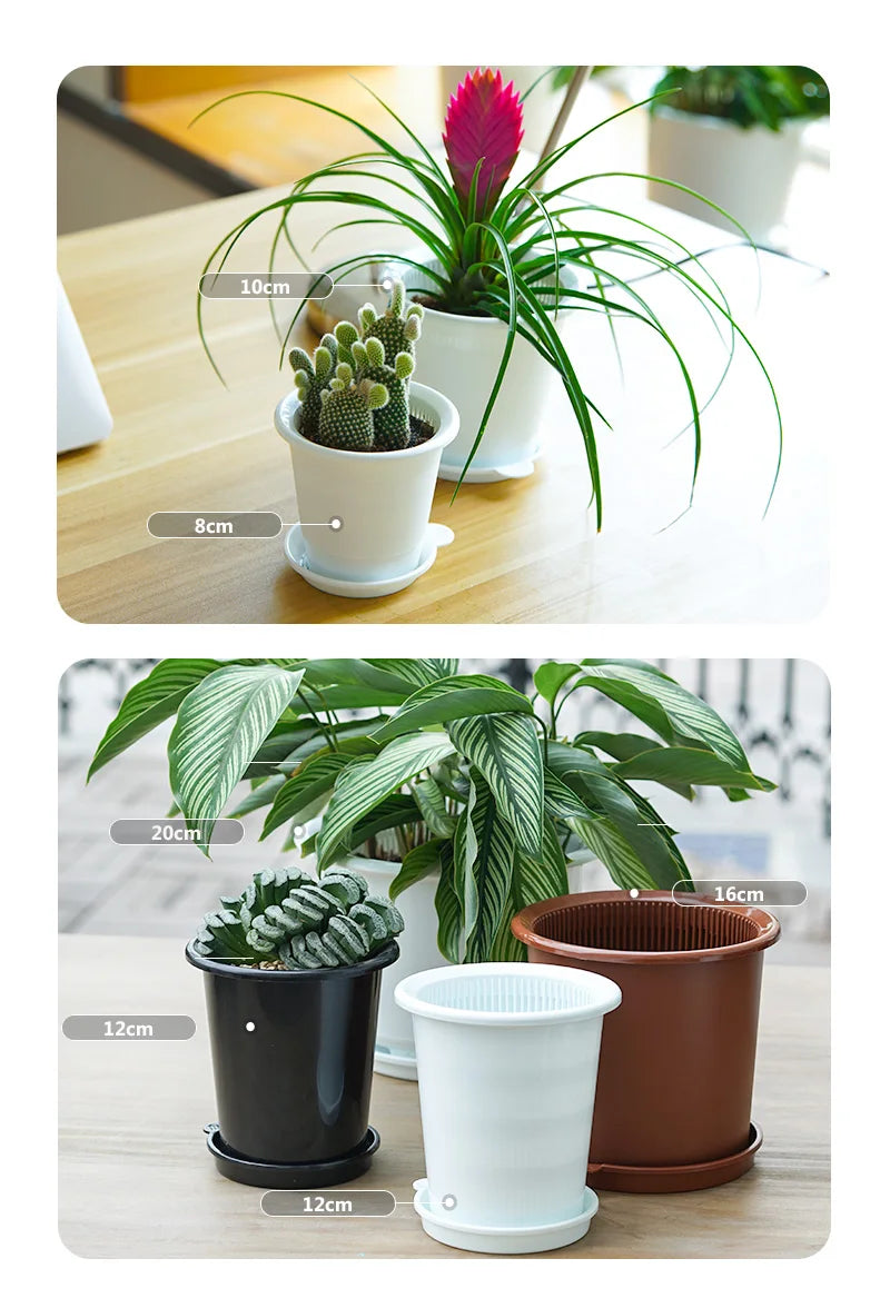 Double Layer Mesh Orchid Pot with Drainage Holes
