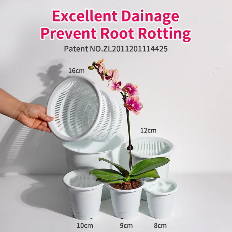 Double Layer Mesh Orchid Pot with Drainage Holes