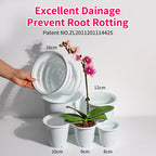 Double Layer Mesh Orchid Pot with Drainage Holes