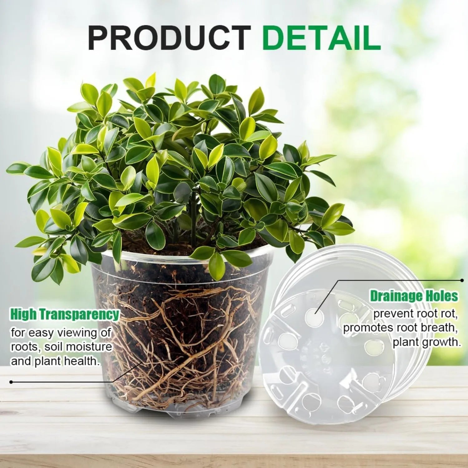 Transparent Plastic Nursery Pots with Drainage Holes