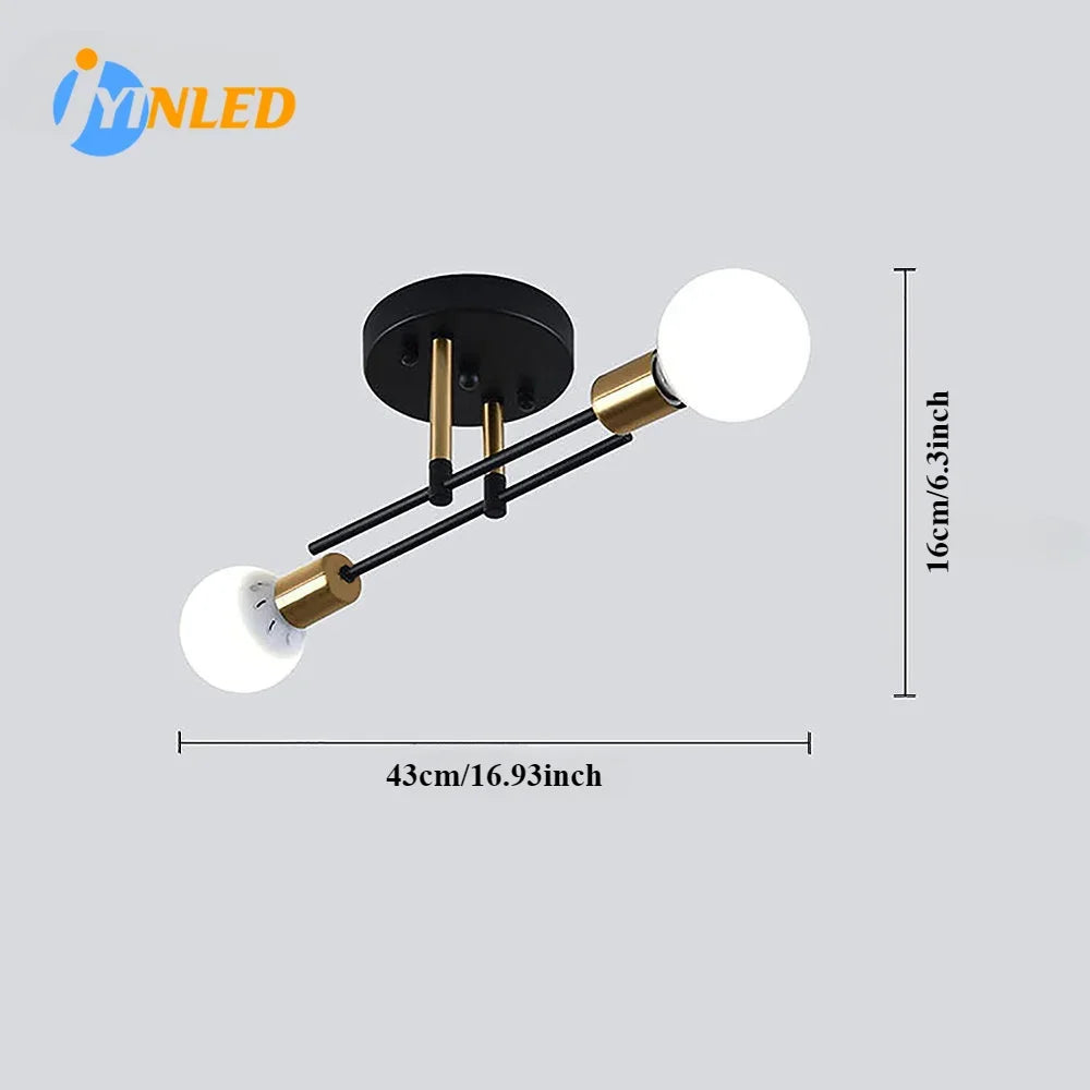 Vintage 2-Light Iron Ceiling Light – Black E27 Surface Mount