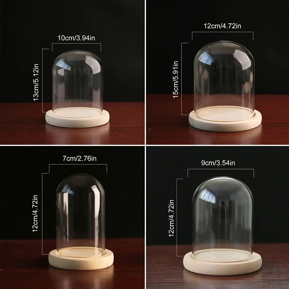 Modern Glass Display Dome with LED Wooden Base – Decorative Vase