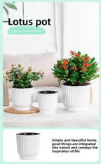 Self-Watering Resin Succulent Planter Pot