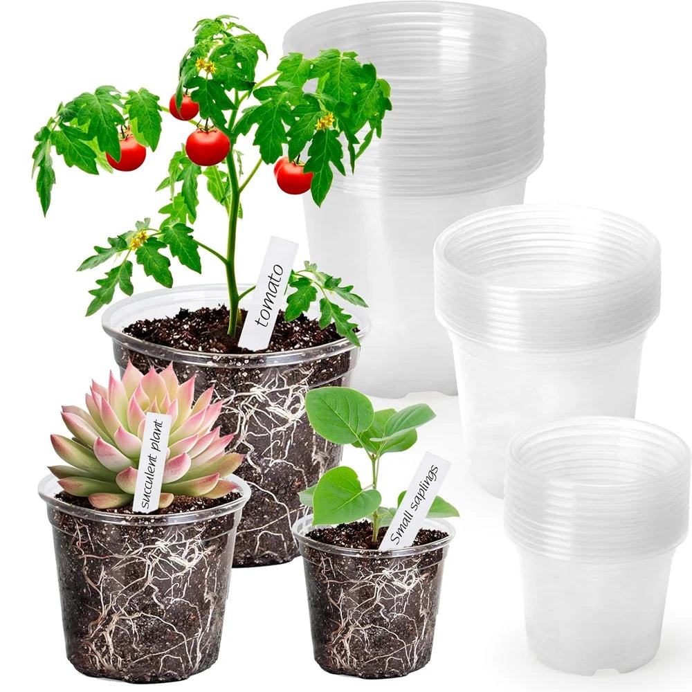 Transparent Plastic Nursery Pots with Drainage Holes