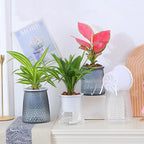 Double Layer Self-Watering Hydroponic Planter