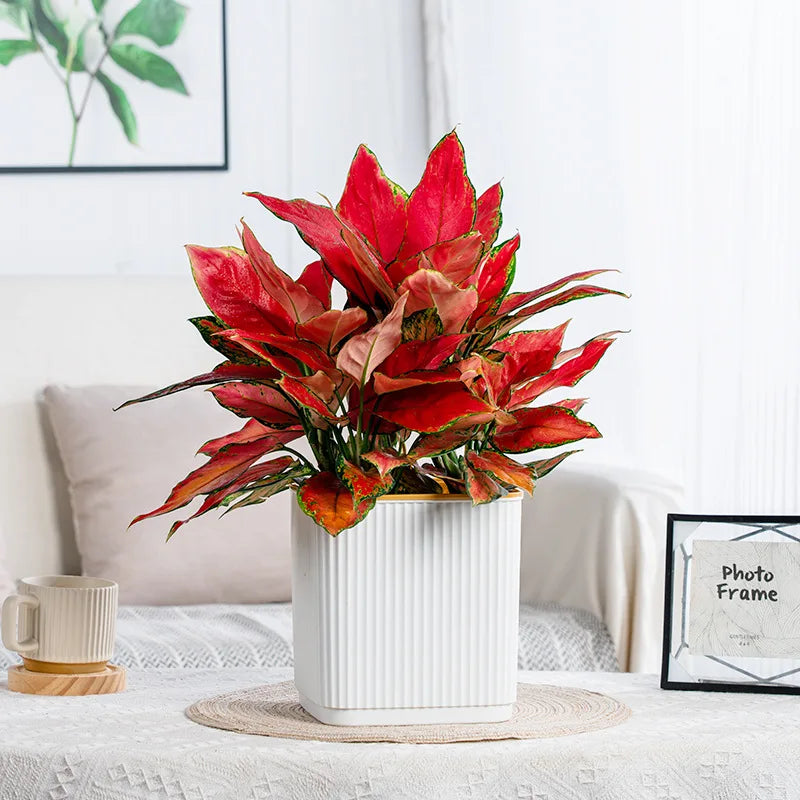 Self-Watering Nordic Style Square Flower Pot